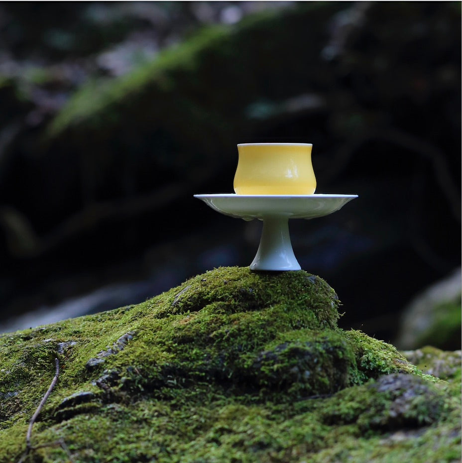 Narcissus Tea Cup — Golden Dawn