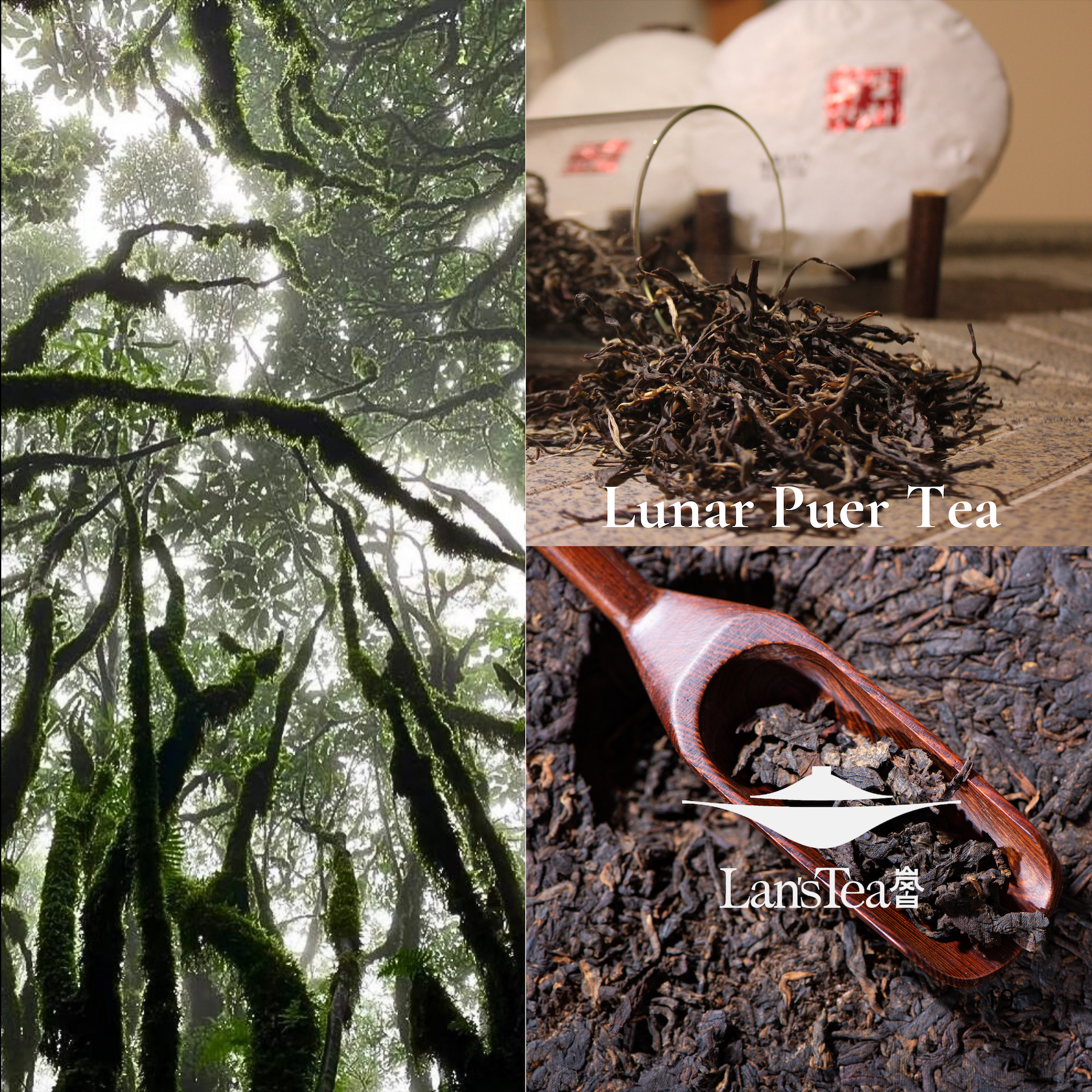 LUNAR ROSE PU-ERH TEA