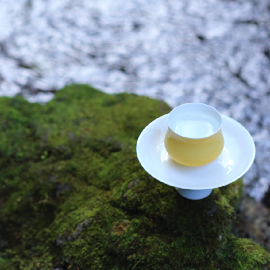 Narcissus Tea Cup — Golden Dawn