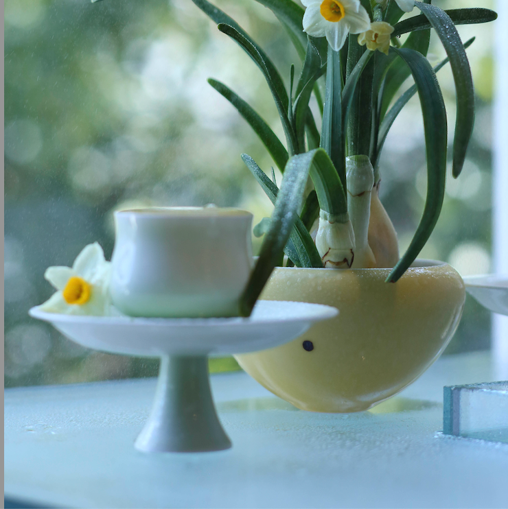 Narcissus Tea Cup — Spring Verdant
